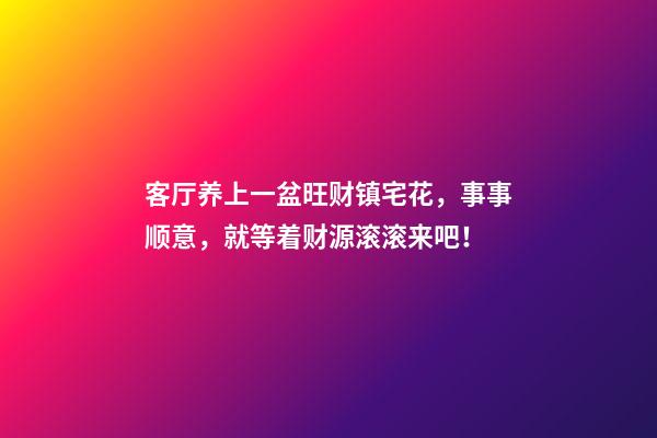客厅养上一盆旺财镇宅花，事事顺意，就等着财源滚滚来吧！