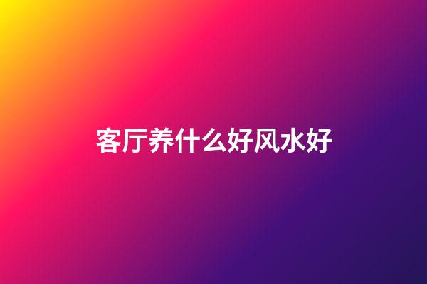 客厅养什么好风水好