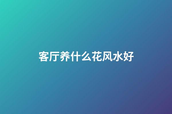 客厅养什么花风水好