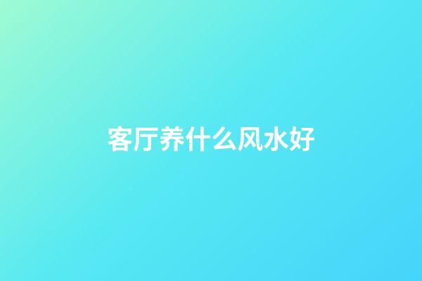 客厅养什么风水好