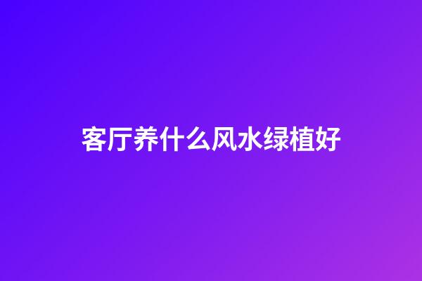 客厅养什么风水绿植好