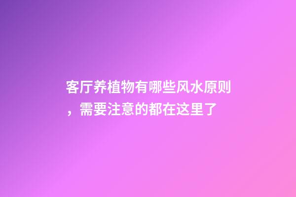 客厅养植物有哪些风水原则，需要注意的都在这里了