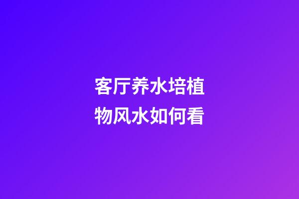 客厅养水培植物风水如何看