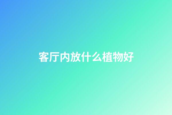 客厅内放什么植物好