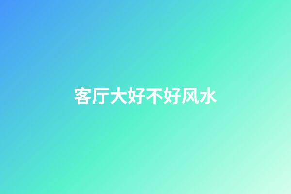 客厅大好不好风水