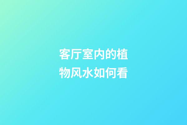 客厅室内的植物风水如何看