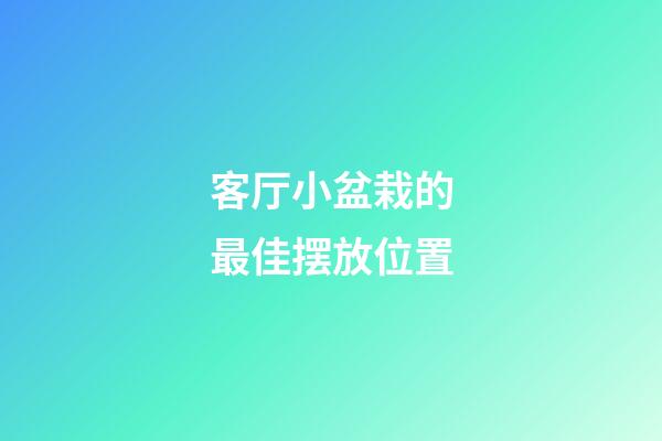 客厅小盆栽的最佳摆放位置