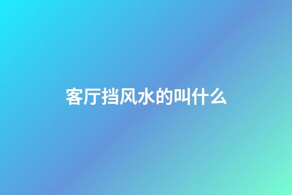 客厅挡风水的叫什么