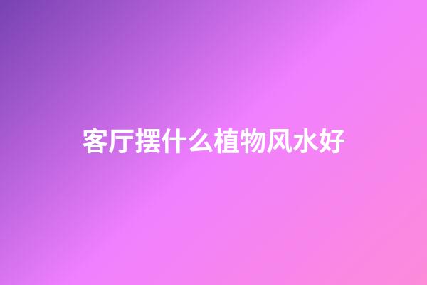客厅摆什么植物风水好