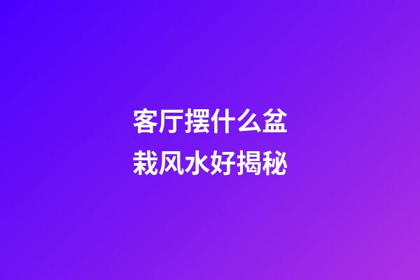 客厅摆什么盆栽风水好揭秘