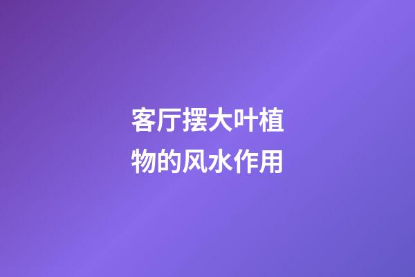 客厅摆大叶植物的风水作用