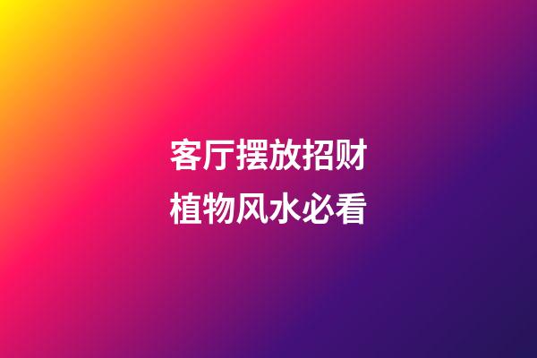 客厅摆放招财植物风水必看