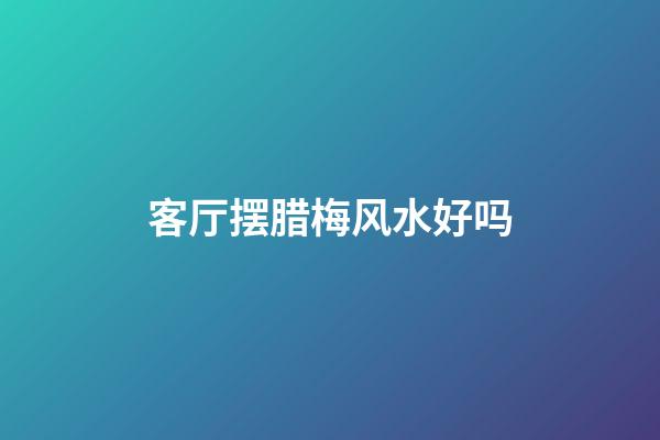 客厅摆腊梅风水好吗