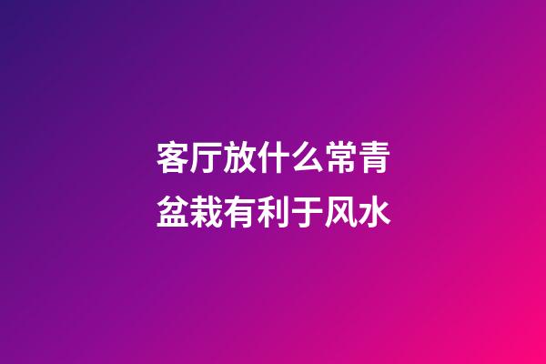 客厅放什么常青盆栽有利于风水