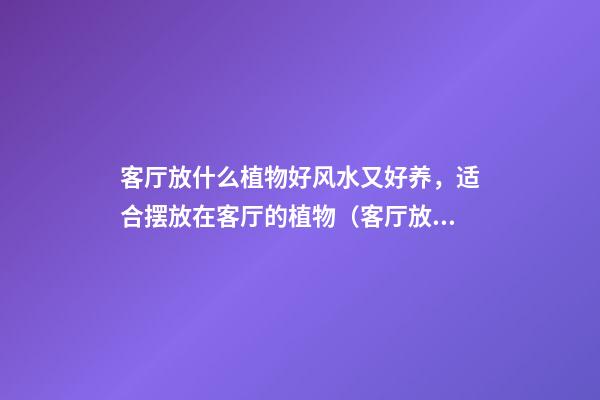客厅放什么植物好风水又好养，适合摆放在客厅的植物（客厅放哪些植物风水好）