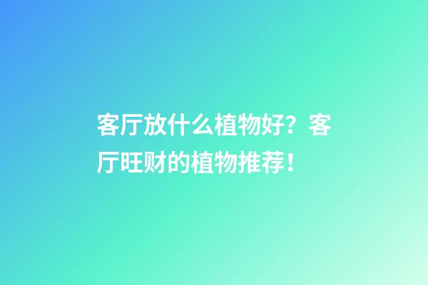 客厅放什么植物好？客厅旺财的植物推荐！