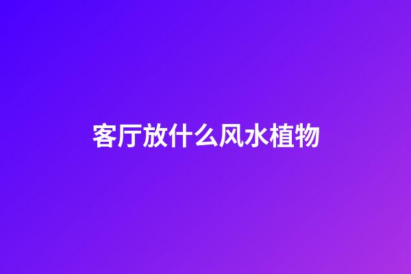 客厅放什么风水植物