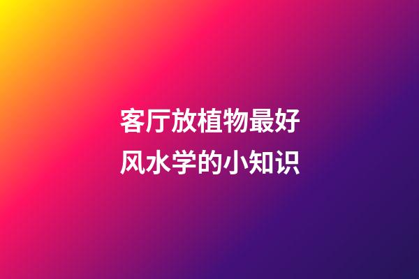 客厅放植物最好风水学的小知识