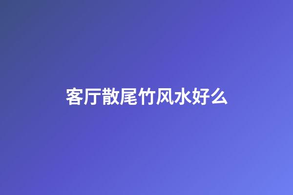 客厅散尾竹风水好么