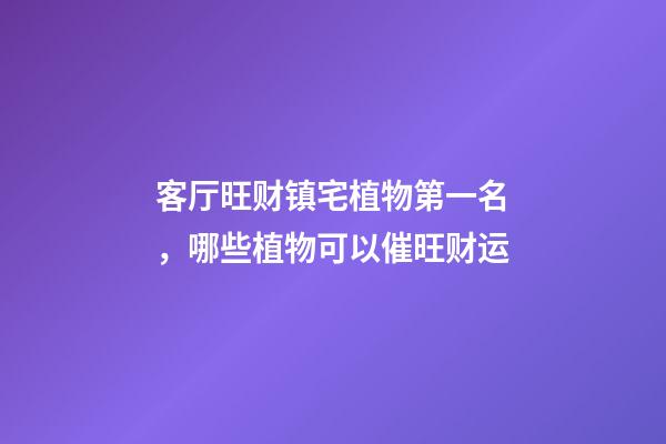 客厅旺财镇宅植物第一名，哪些植物可以催旺财运