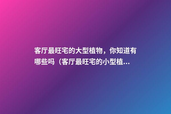 客厅最旺宅的大型植物，你知道有哪些吗（客厅最旺宅的小型植物）