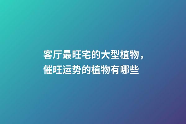 客厅最旺宅的大型植物，催旺运势的植物有哪些