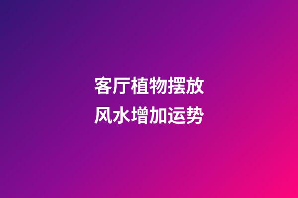 客厅植物摆放风水增加运势