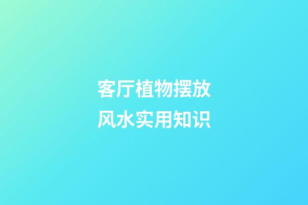 客厅植物摆放风水实用知识