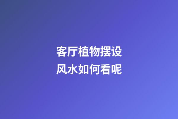 客厅植物摆设风水如何看呢