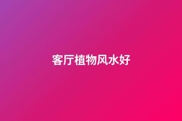 客厅植物风水好