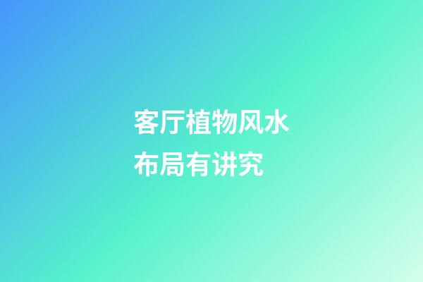 客厅植物风水布局有讲究