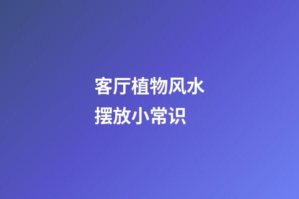 客厅植物风水摆放小常识