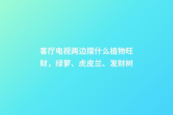 客厅电视两边摆什么植物旺财，绿萝、虎皮兰、发财树