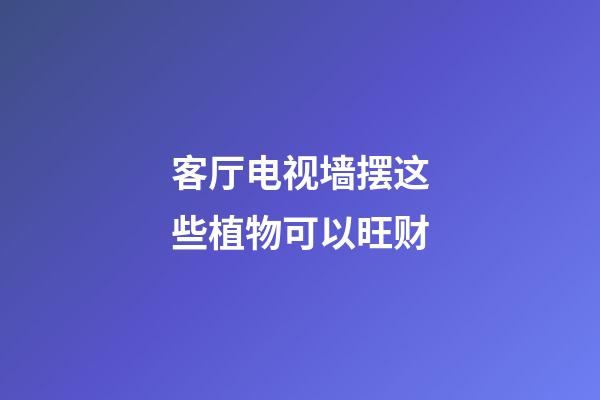 客厅电视墙摆这些植物可以旺财