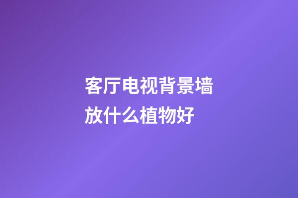 客厅电视背景墙放什么植物好