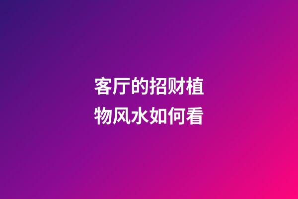 客厅的招财植物风水如何看
