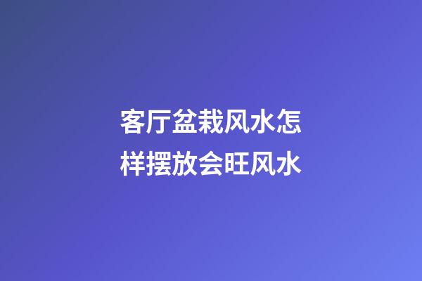 客厅盆栽风水怎样摆放会旺风水