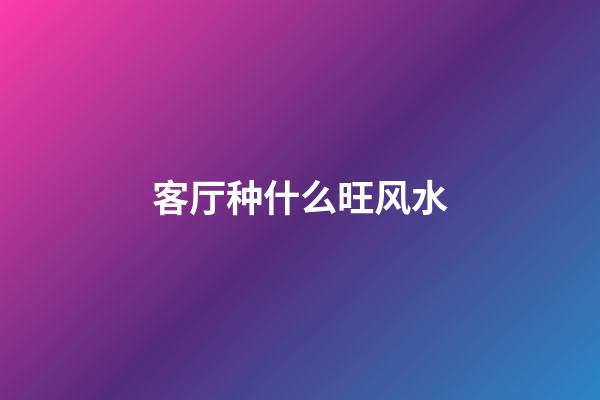 客厅种什么旺风水