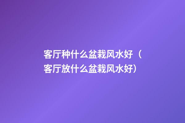 客厅种什么盆栽风水好（客厅放什么盆栽风水好）