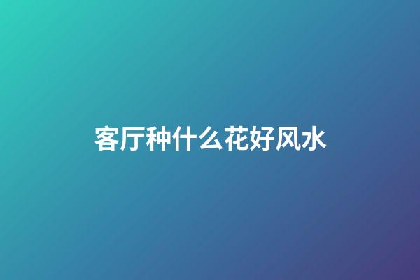 客厅种什么花好风水