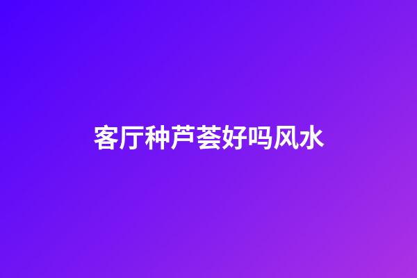 客厅种芦荟好吗风水