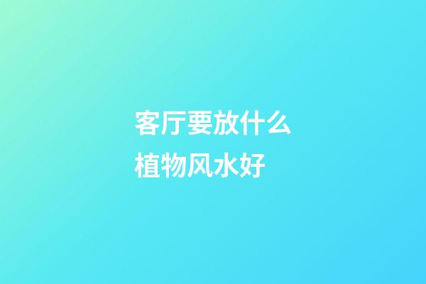 客厅要放什么植物风水好