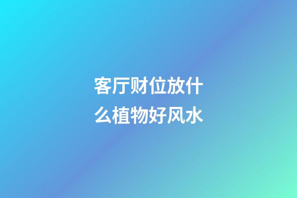 客厅财位放什么植物好风水