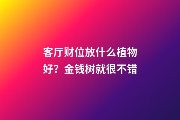 客厅财位放什么植物好？金钱树就很不错