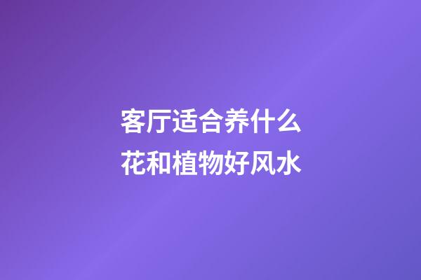 客厅适合养什么花和植物好风水