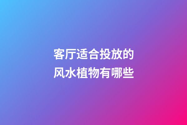 客厅适合投放的风水植物有哪些