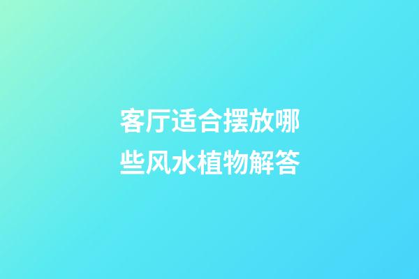 客厅适合摆放哪些风水植物解答