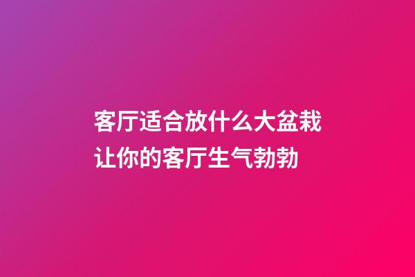 客厅适合放什么大盆栽让你的客厅生气勃勃
