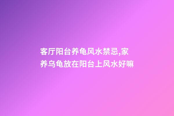 客厅阳台养龟风水禁忌,家养乌龟放在阳台上风水好嘛