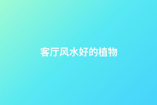客厅风水好的植物